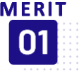 MERIT01